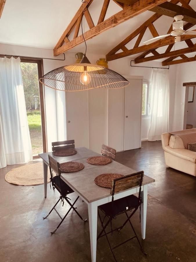 Willa Casa Cote Sud - Mas Bois Fontaine Nîmes Zewnętrze zdjęcie