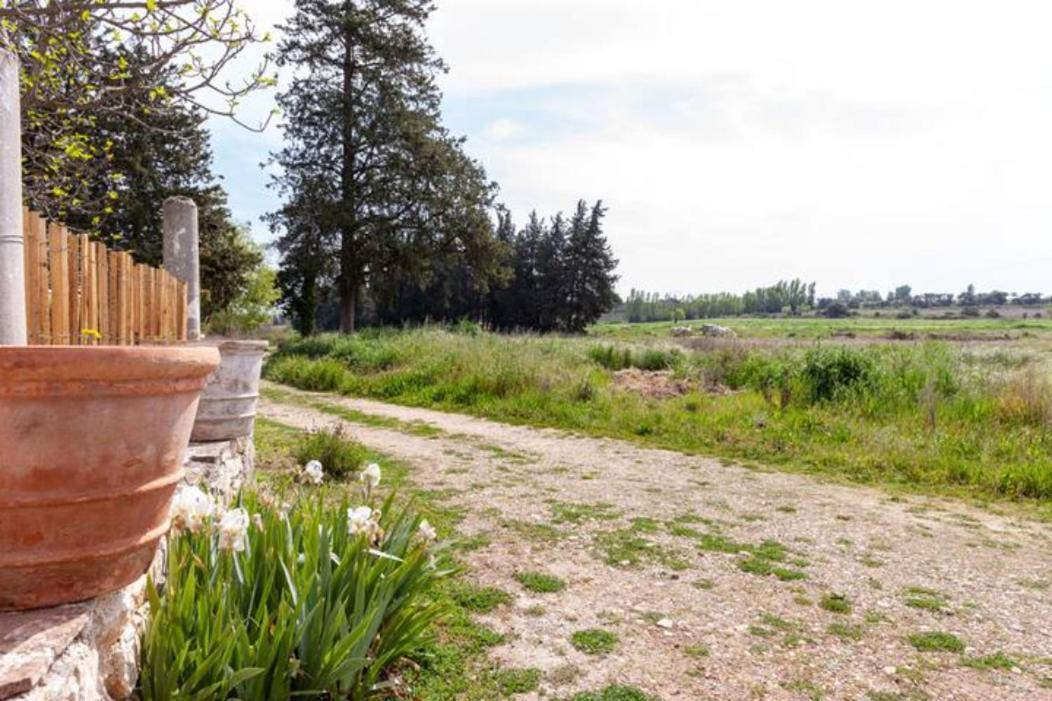 Willa Casa Cote Sud - Mas Bois Fontaine Nîmes Zewnętrze zdjęcie