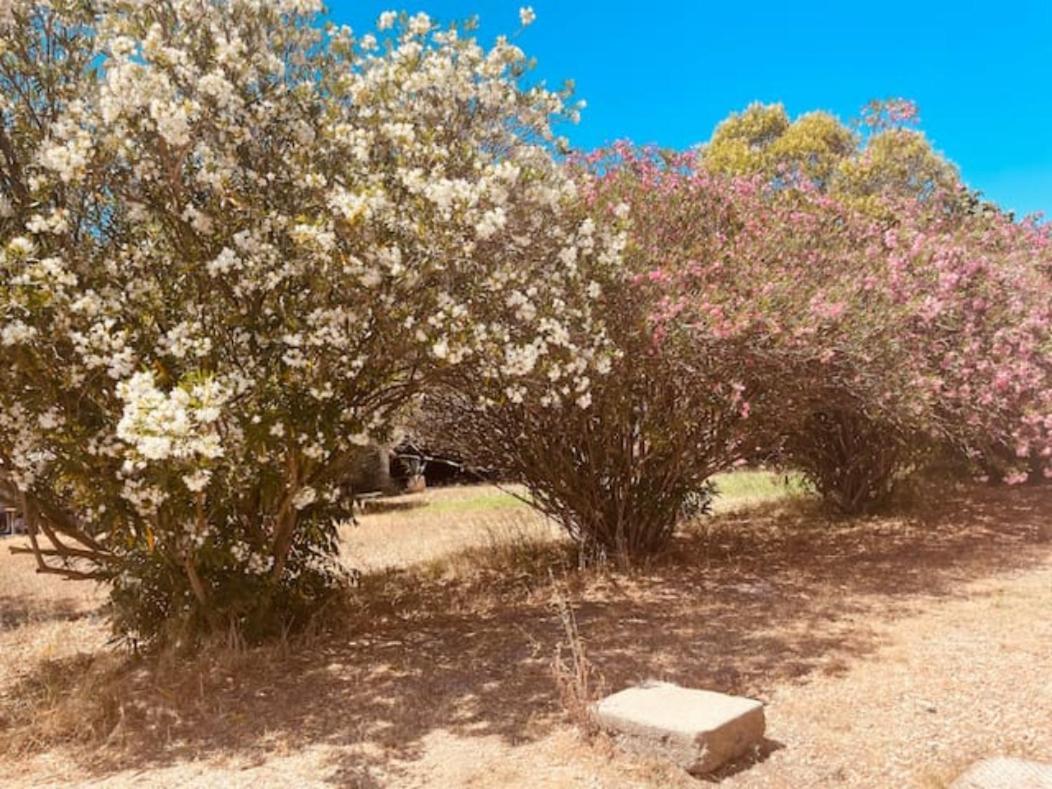 Willa Casa Cote Sud - Mas Bois Fontaine Nîmes Zewnętrze zdjęcie