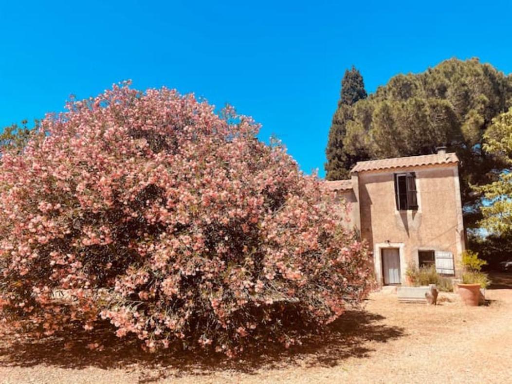Willa Casa Cote Sud - Mas Bois Fontaine Nîmes Zewnętrze zdjęcie